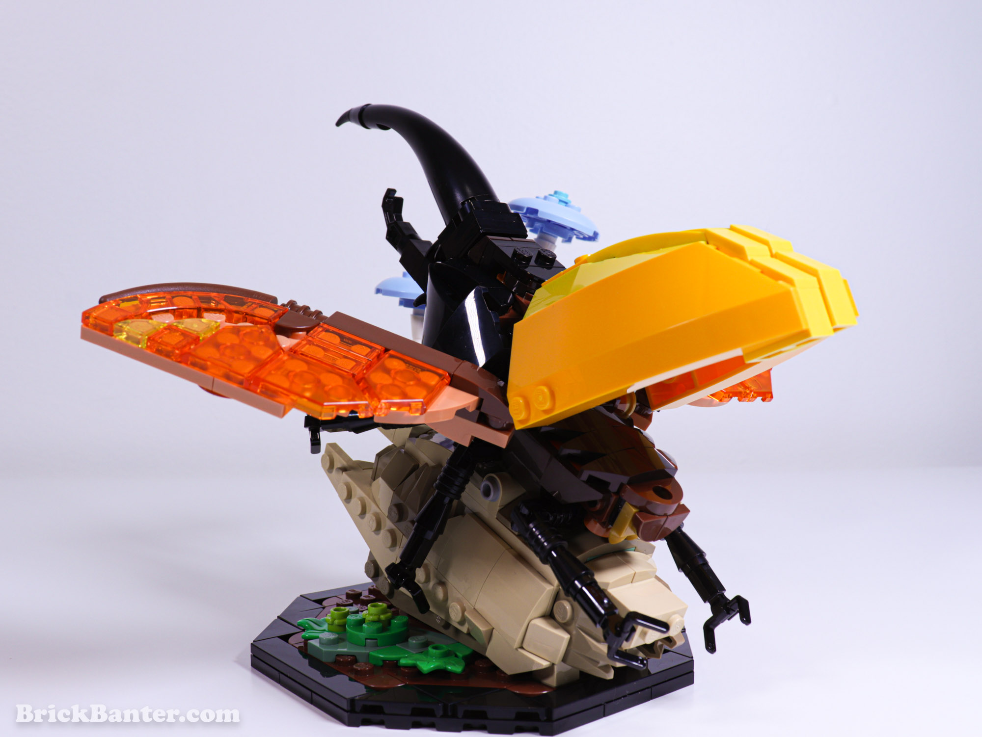 LEGO IDEAS - Blog - Introducing LEGO® Ideas 21342 The Insect