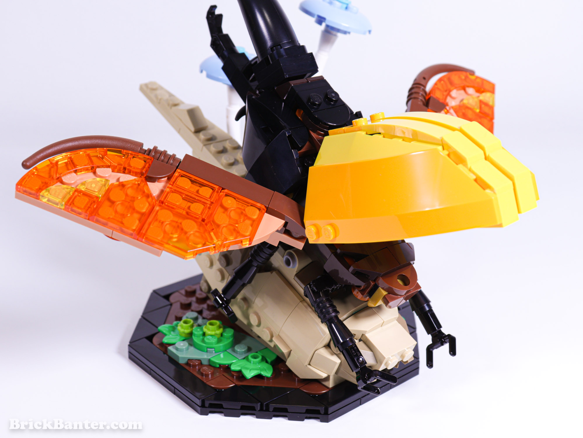 LEGO IDEAS - Blog - Introducing LEGO® Ideas 21342 The Insect