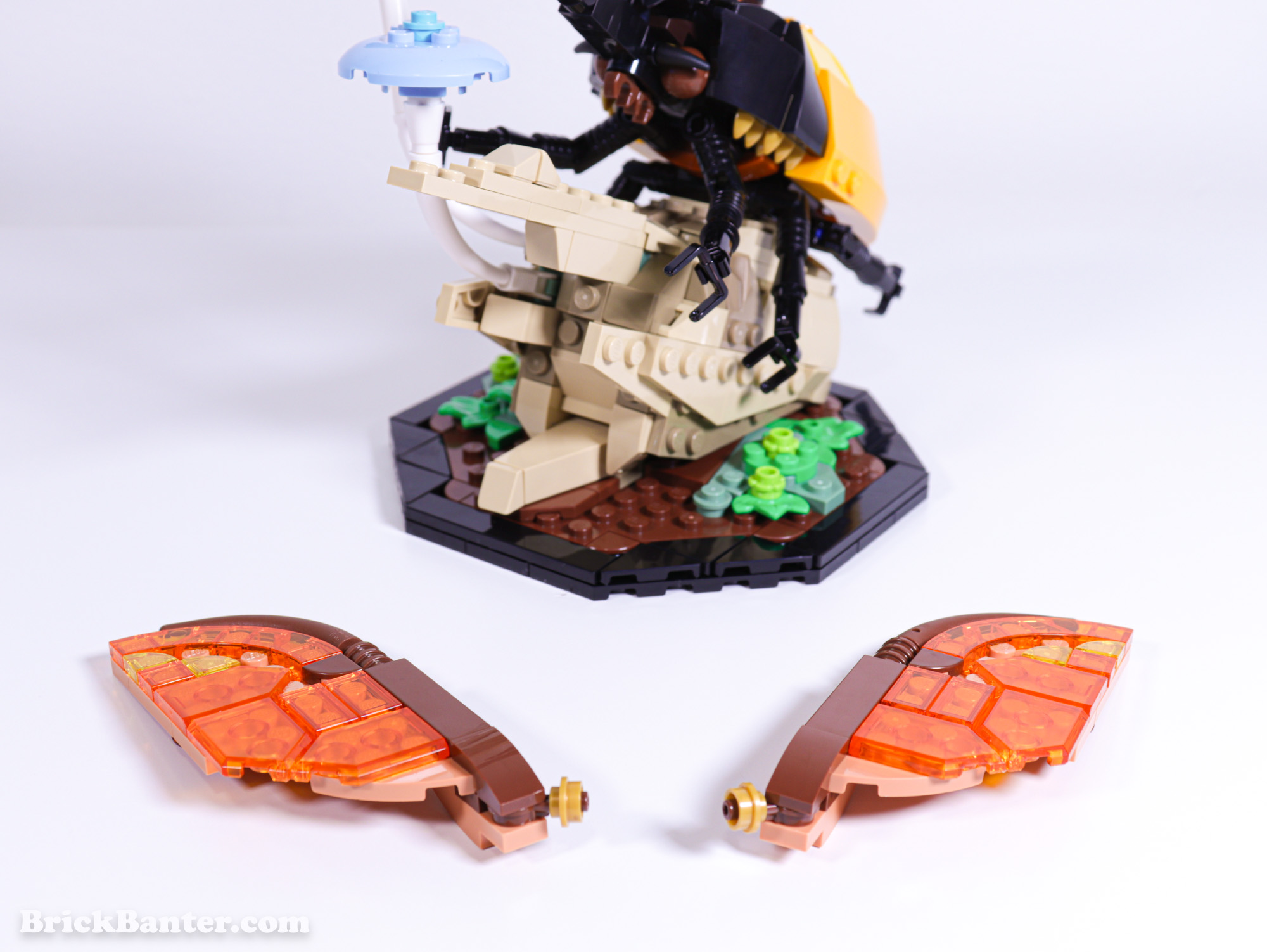 Review: LEGO Ideas - The Insect Collection - 21342