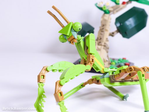 LEGO Ideas - The Insect Collection 21342