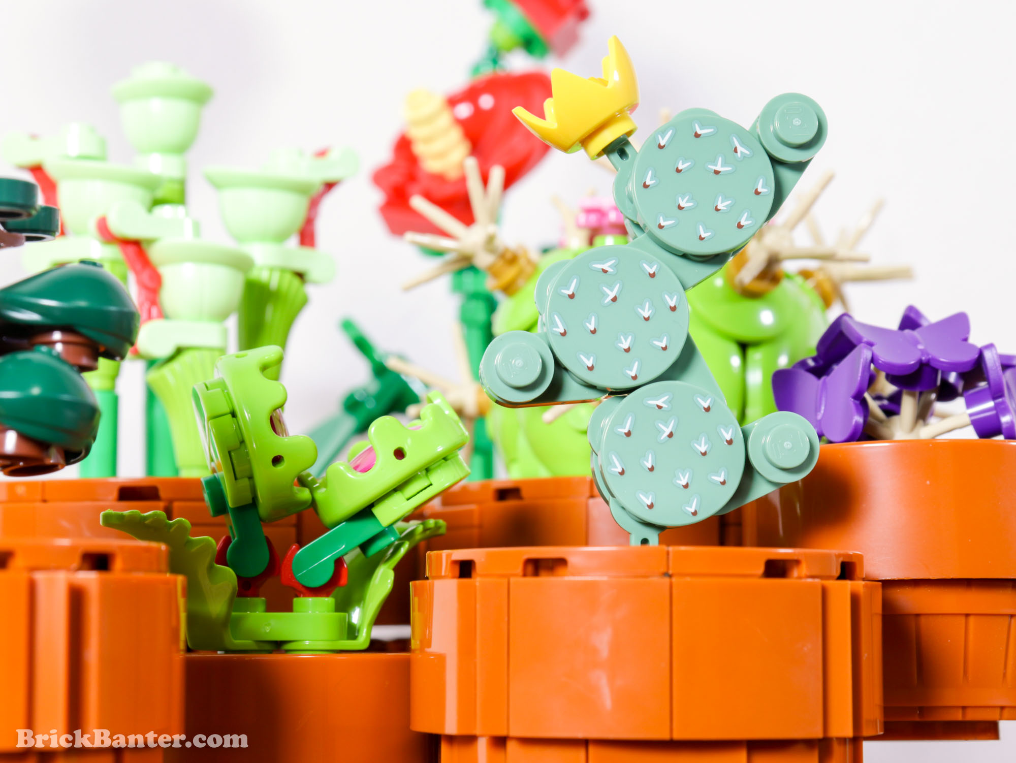 LEGO® ICONS™ review + MOC: 10329 Tiny Plants  New Elementary: LEGO® parts,  sets and techniques