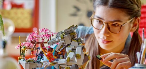 10 tips to know before you become a LEGO collector